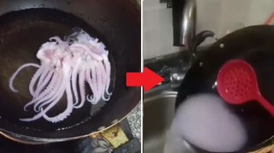 [영상] 데치니 형체 사라진 오징어…中 짝퉁 식품에 '발칵'