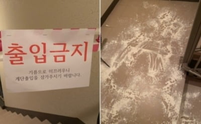 "택배 뜯어 던지고 식용유 테러"…초등생 난동에도 처벌 불가