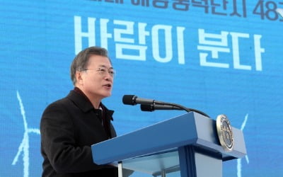 文 "2030년 5대 해상풍력 강국 도약"…48조원 쏟아붓는다