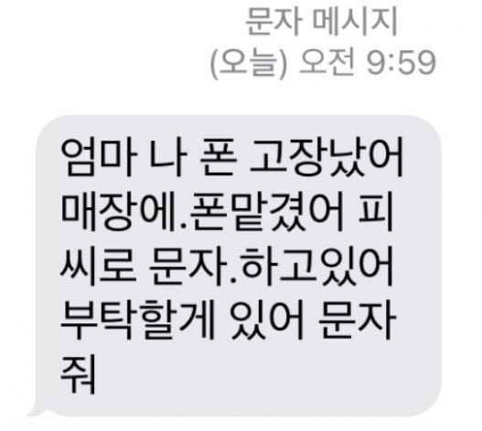 독자가 제공한 메신저 피싱 문자. 사진=독자 제공