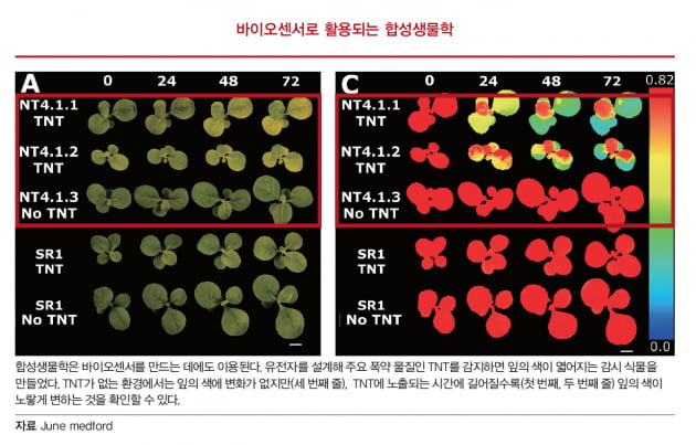 [생명연 리포트] 생물학의 산업적 활용을 촉진하는 바이오파운드리 구축이 필요하다