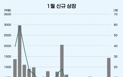 [한경 CFO Insight] 연초부터 후끈한 IPO 시장