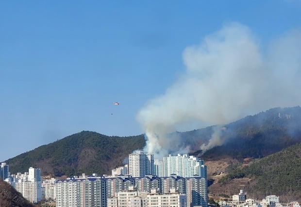 10일 낮 12시42분께 전남 광양시 마동 가야산에서 산불이 발생해 연기가 솟구치고 있다/사진=연합뉴스
