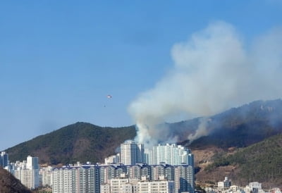 "진화됐다던" 광양 가야산, 다시 화재…당국 "진압 완료"