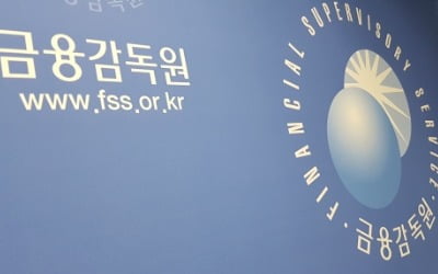 '룸살롱에서 문서 전달' 사라질까…금감원의 대책 3개 [박종서의 금융형통]