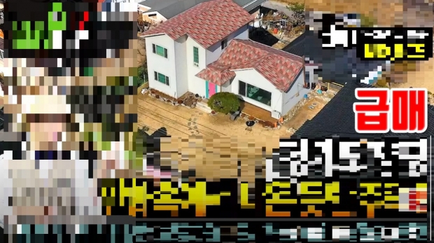 This is a house price measure alone…與 real estate youtuber report and do