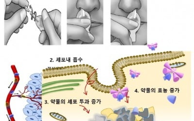 아아큐어비앤피, 세포막 투과성 개선 약물전달기술 美 특허