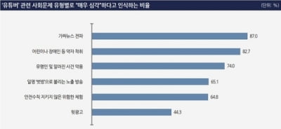 "유튜버들 가짜뉴스 전파, 매우 심각한 사회적 문제"