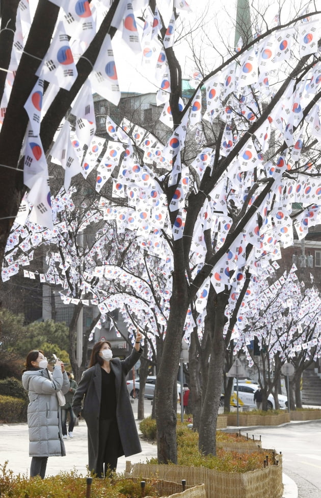 효창공원에 등장한 태극기가로수