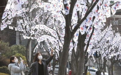 효창공원에 등장한 태극기가로수