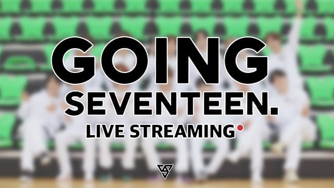 세븐틴, 직접 뽑은 ‘고잉 세븐틴 2020’ 최애 에피소드 라이브 스트리밍 진행