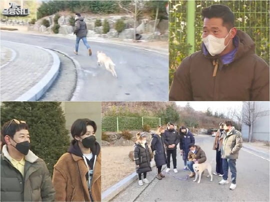'개는 훌륭하다'(사진=KBS)