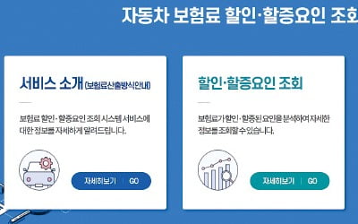 내차 보험료 왜 오르고 내렸는지 '한눈에'