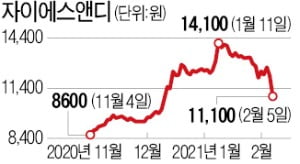 자이에스앤디, 대규모 카지노 입플 8.6% 폭락