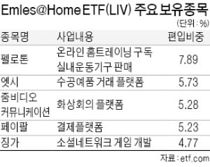 '홈코노미 종합세트 ETF' LIV에 베팅해볼까