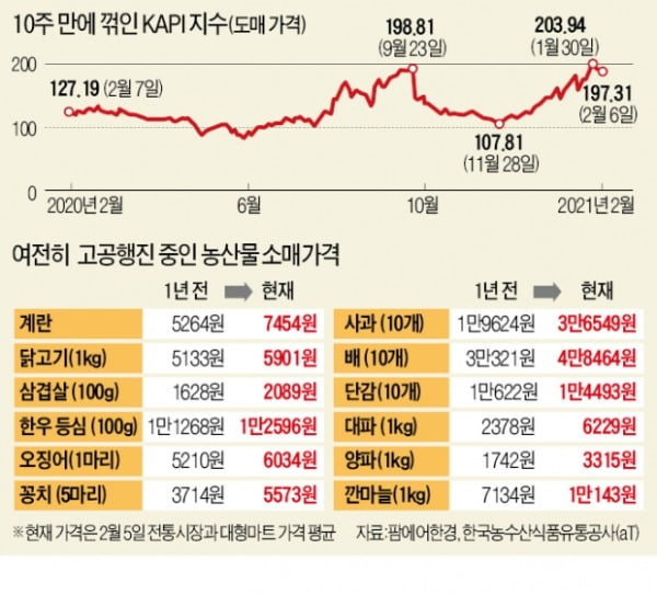 농산물 도매가 10주 만에 상승세 멈췄다