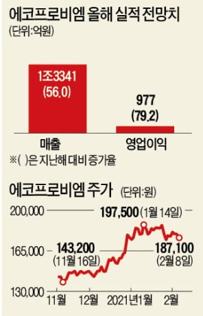 5년 만에 매출 13배 뛴 에코프로비엠 vs 장기 성장성 인정받는 포스코케미칼