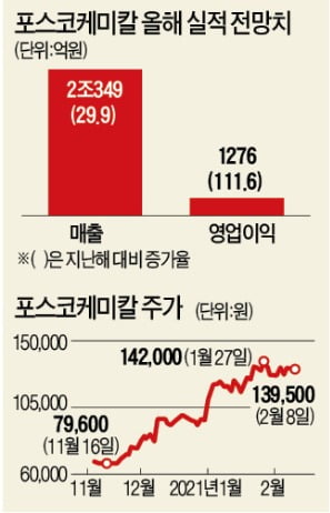 5년 만에 매출 13배 뛴 에코프로비엠 vs 장기 성장성 인정받는 포스코케미칼