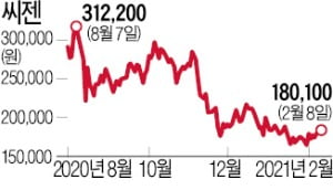 씨젠, 9년간 매출 부풀렸다