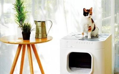 현대렌탈케어, 고양이 배설물 자동으로 처리…반려동물 렌털상품 시장 공략