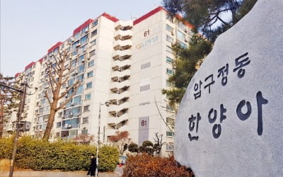 속도내는 압구정 재건축…4구역 첫 조합설립