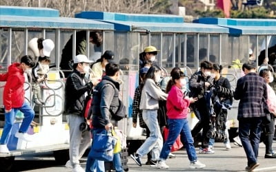  포근한 날씨에 '나들이객' 북적