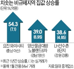 풍선효과 지속…아산·양산 아파트 '신고가 행진'