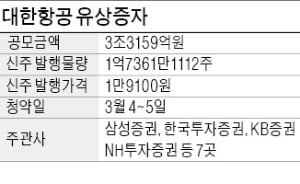 '흑자 비행' 성공한 대한항공…사상최대 유상증자 순항 예고