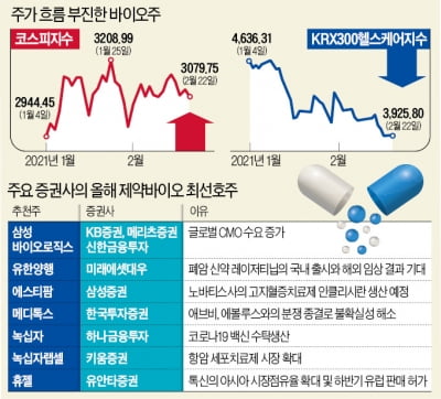 힘 못쓰는 바이오株…'대형 IPO'가 투심 살릴까