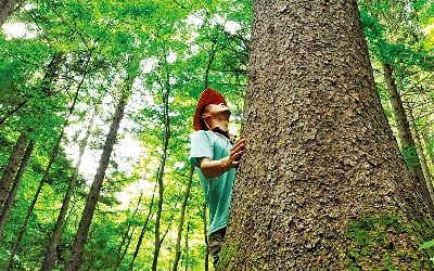 산림청, 나무 30억그루 심는다…탄소중립 '앞장'