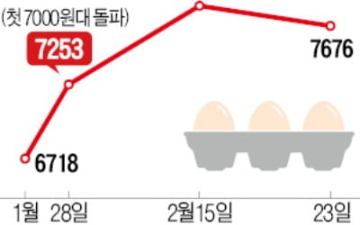 '천정부지' 계란값 45일 만에 꺾였다