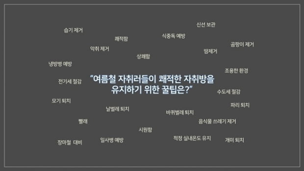 곰팡이, 벌레, 상한 음식… ‘자취러’가 꼭 알아야 할 여름 자취방 관리 꿀TIP은?