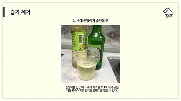 곰팡이, 벌레, 상한 음식… ‘자취러’가 꼭 알아야 할 여름 자취방 관리 꿀TIP은?