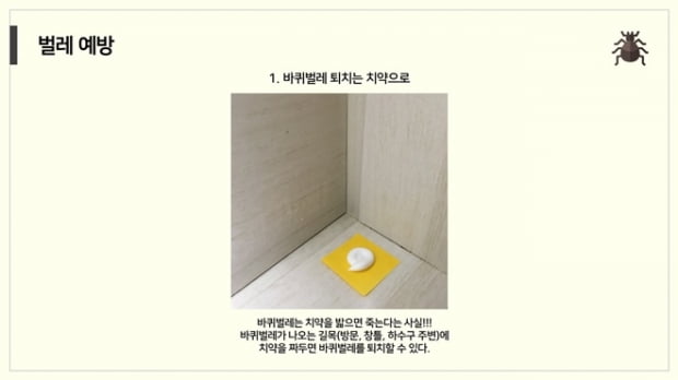 곰팡이, 벌레, 상한 음식… ‘자취러’가 꼭 알아야 할 여름 자취방 관리 꿀TIP은?