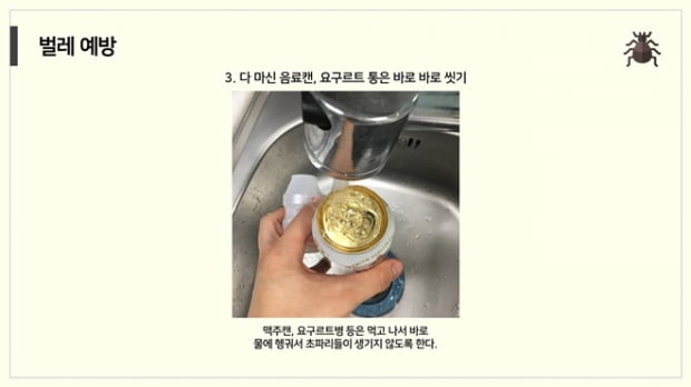 곰팡이, 벌레, 상한 음식… ‘자취러’가 꼭 알아야 할 여름 자취방 관리 꿀TIP은?