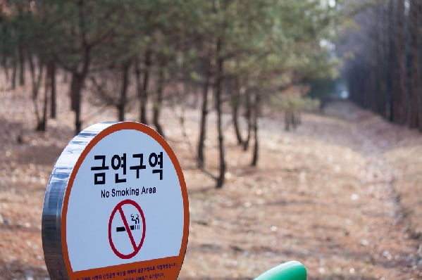 흡연자·비흡연자 모두 불만인 대학 내 흡연구역 논란, ‘어디로 가야 하나요?’