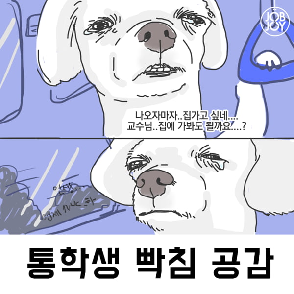[카드뉴스] 통학러가 말하는 통학생 빡치는 순간