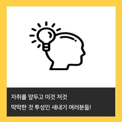 &#39;어머! 이건 꼭 사야 돼&#39; 자취생이라면 꼭 구입해야 할 핫 아이템은?