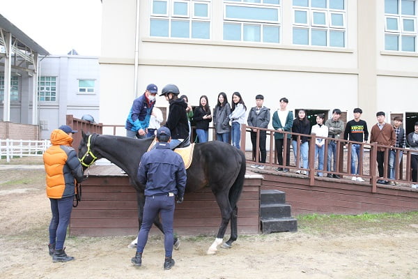 “침체된 부산·경남 청년들의 사기, 마사회가 살립니다” 정형석 한국마사회 부산경남지역본부장 