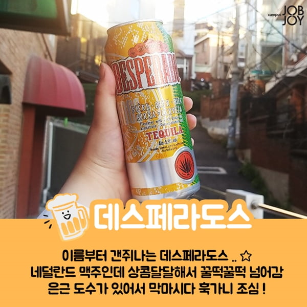 [카드뉴스] 맥주덕후의 추천! 편의점 수입맥주 추천 