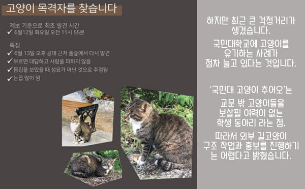 사람과 고양이가 공생하는 대학 ‘국민대 고양이 추어오’를 아시나요?