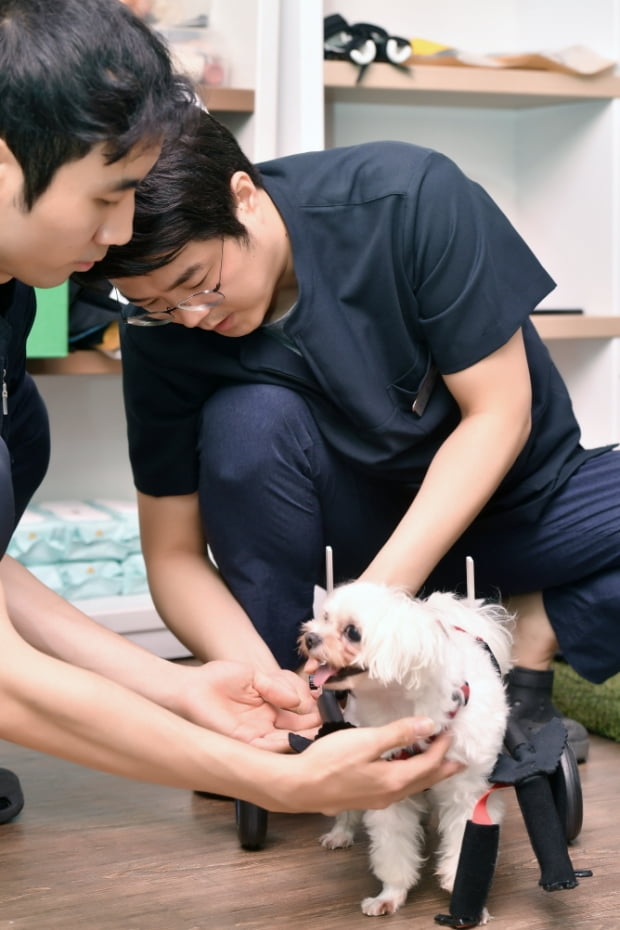  의수족 만들다 창직한  국내 1호 동물재활공학사