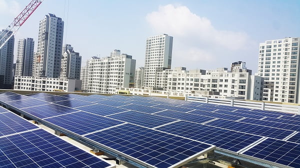 [강소기업 청년 CEO] ‘햇빛지도’로 태양광 사업 이끄는 권오현 해줌 대표 “VC 앞에서 사업계획 발표 후 눈물 쏙 빠지게 혼났었죠” 