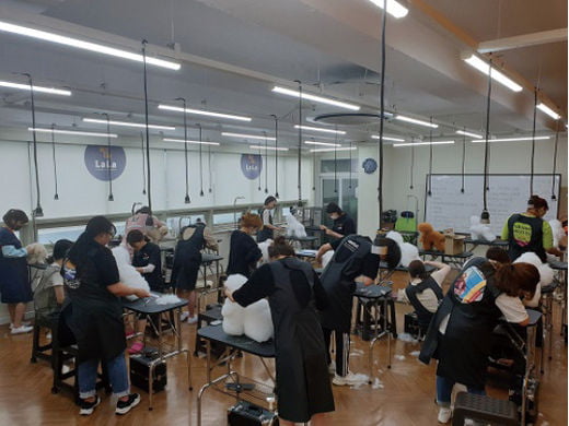 [2019 대한민국 브랜드대상] 애완동물 미용전문학원, 라라애견미용학원