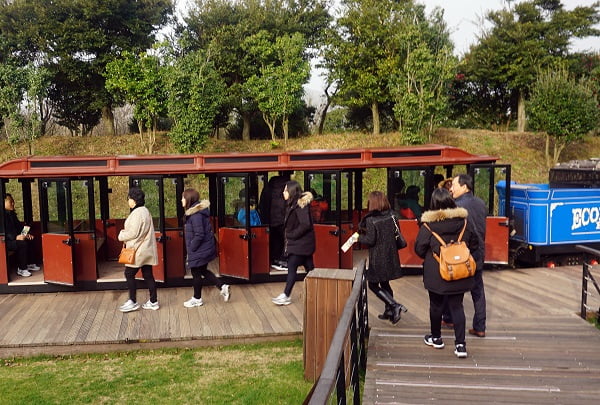 겨울이 끝나기 전 꼭 가야할 제주도 명소는?