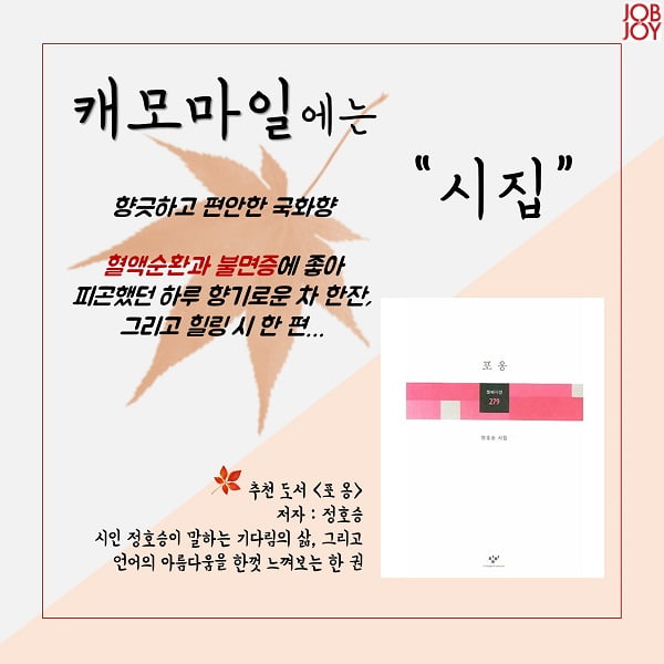 ‘가을엔 따뜻한 차 한잔, 책 한 권이면 돼’ 가을에 어울리는 차&amp;책  