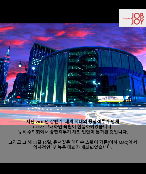 캡틴 아메리카와 맞짱 뜬 남자, UFC 217로 귀환
