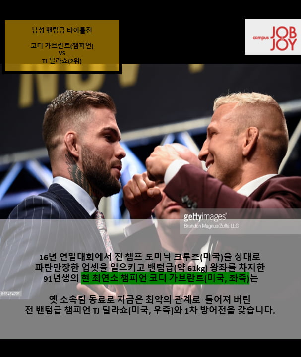캡틴 아메리카와 맞짱 뜬 남자, UFC 217로 귀환