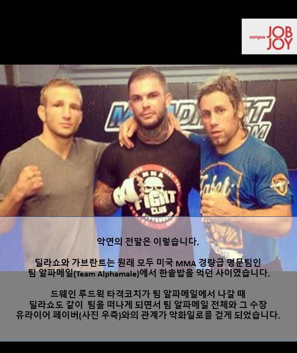 캡틴 아메리카와 맞짱 뜬 남자, UFC 217로 귀환