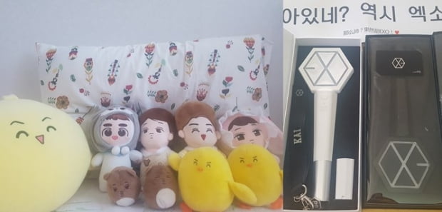 ‘빠순이’라 불리던 아이돌 팬덤… 이제는 K-POP 산업계 큰 손